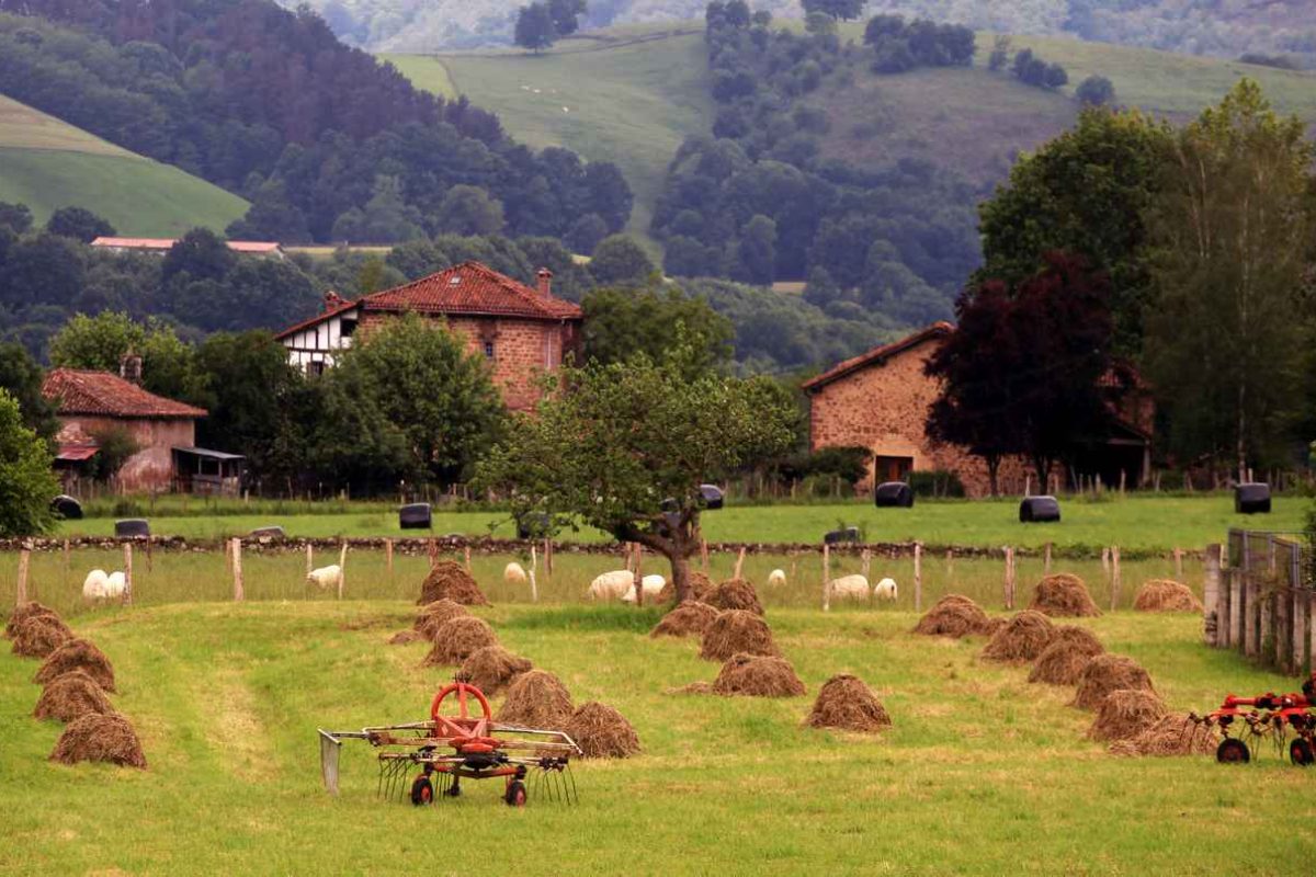 Hierbas-al-fondo-Palacio-de-Ursua.jpg